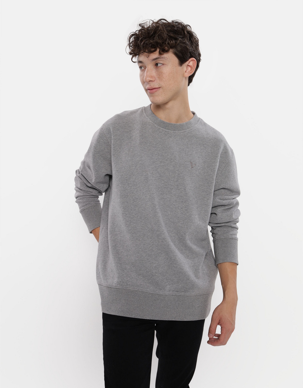 Ae ahhmazingly soft crew neck sweatshirt best sale