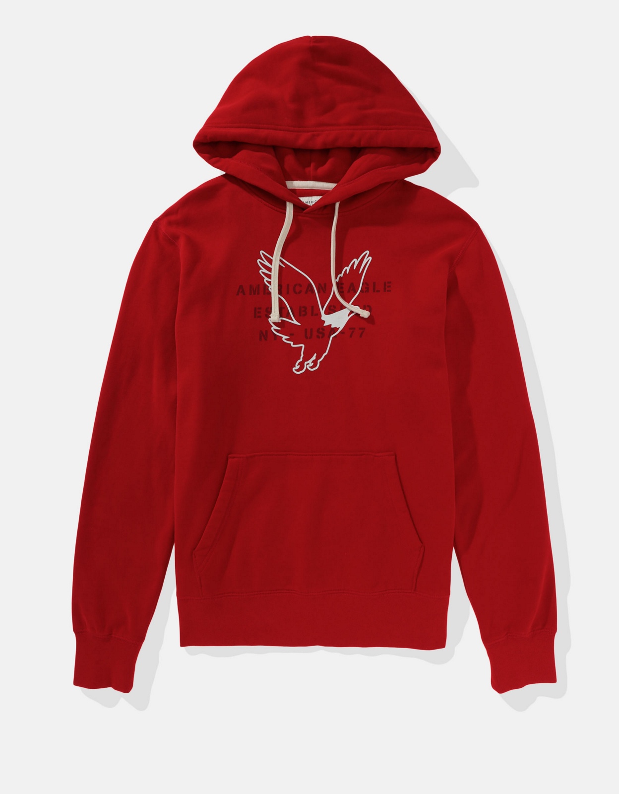 AE Super Soft Graphic Hoodie