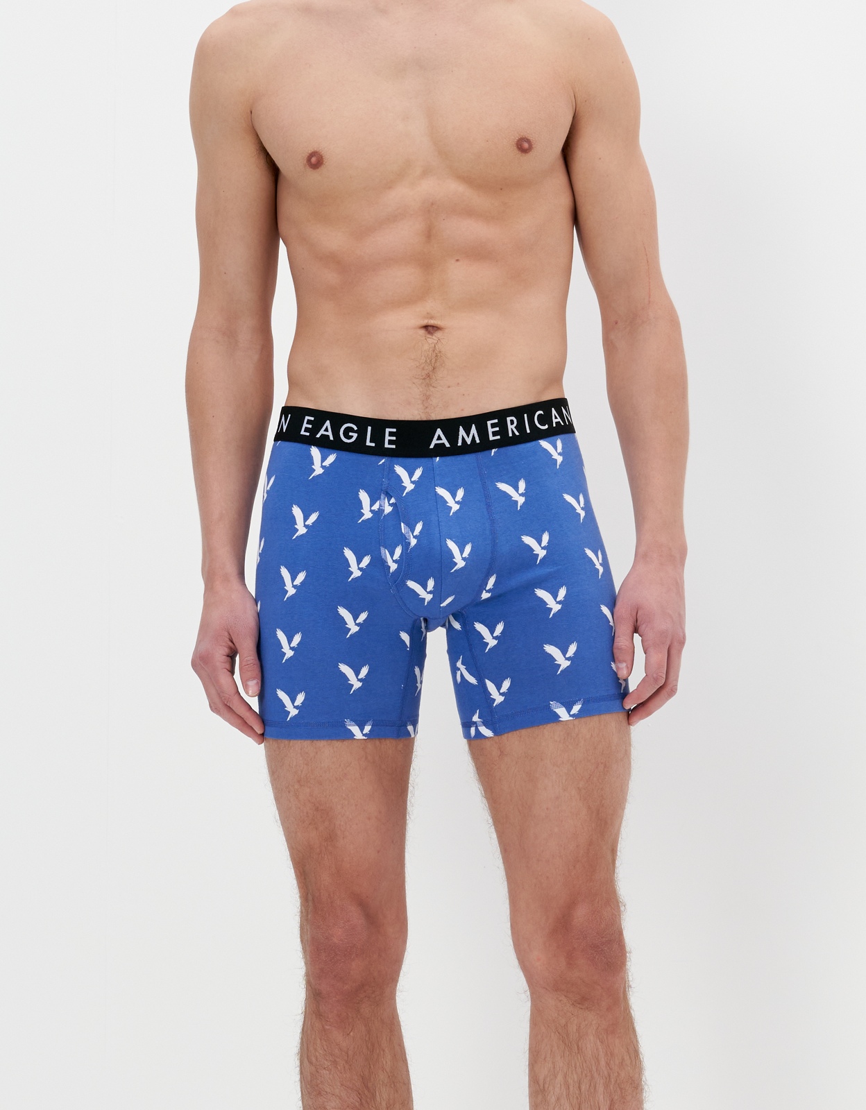 Shop AEO 6 Classic Boxer Brief 3-Pack online